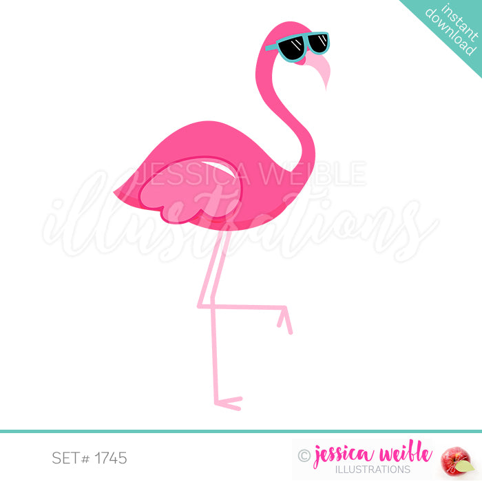Sunglasses Flamingo